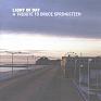 Light Of Day - A Tribute To Bruce Springsteen